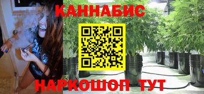 стаф Гагарин