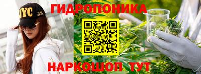 ПСИЛОЦИБИНОВЫЕ ГРИБЫ Гатчина